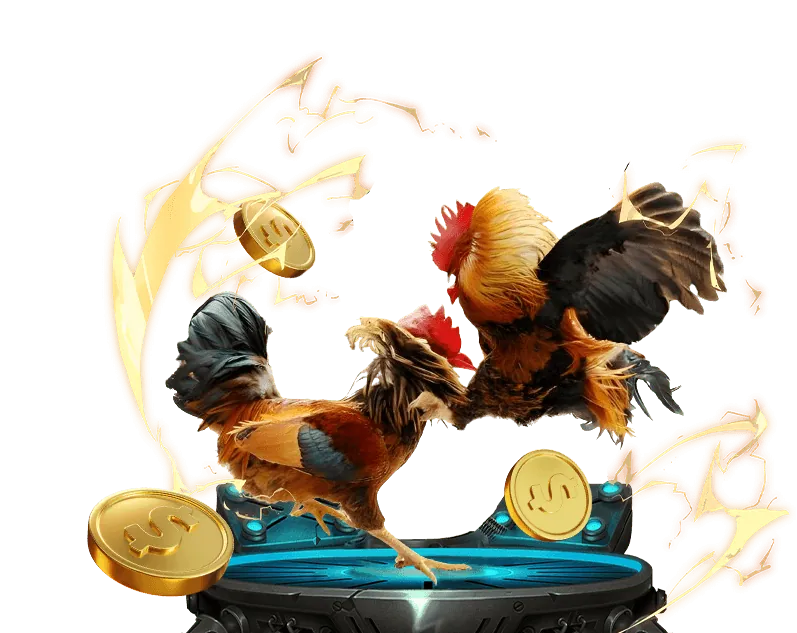 Hình ảnh các quyền lợi độc quyền dành cho thành viên VIP aev999